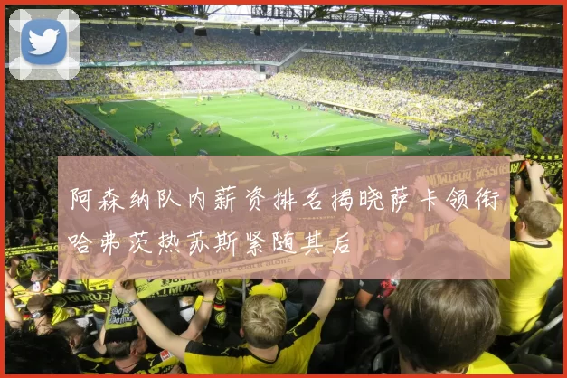 阿森纳队内薪资排名揭晓萨卡领衔哈弗茨热苏斯紧随其后