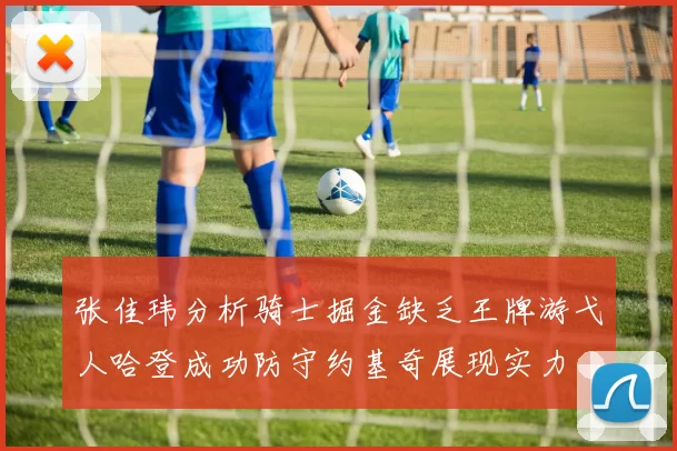 张佳玮分析骑士掘金缺乏王牌游弋人哈登成功防守约基奇展现实力